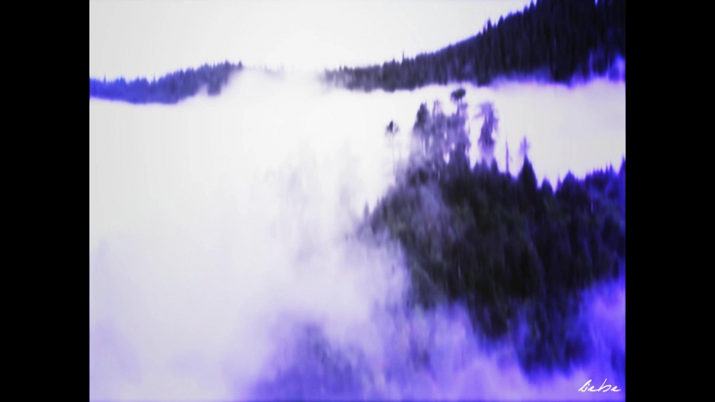 Mihrimah &amp; nurbanu { demons of vice }