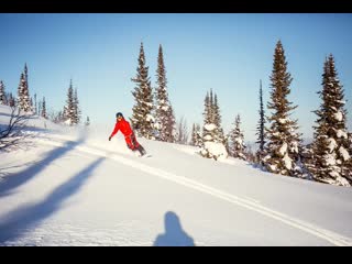 Фрирайд на ратраках с black cat freeride