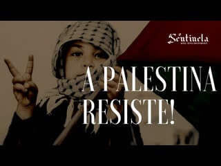 A palestina resiste!