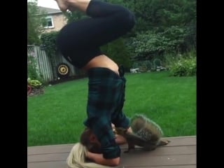 Тренироа белки😀