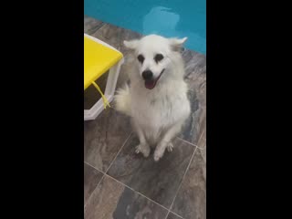 Ig stories "kıbrıs"