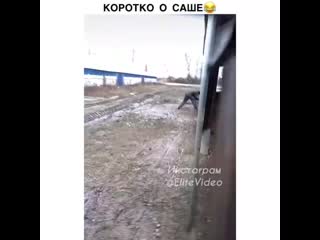 Видео от сака оборжака