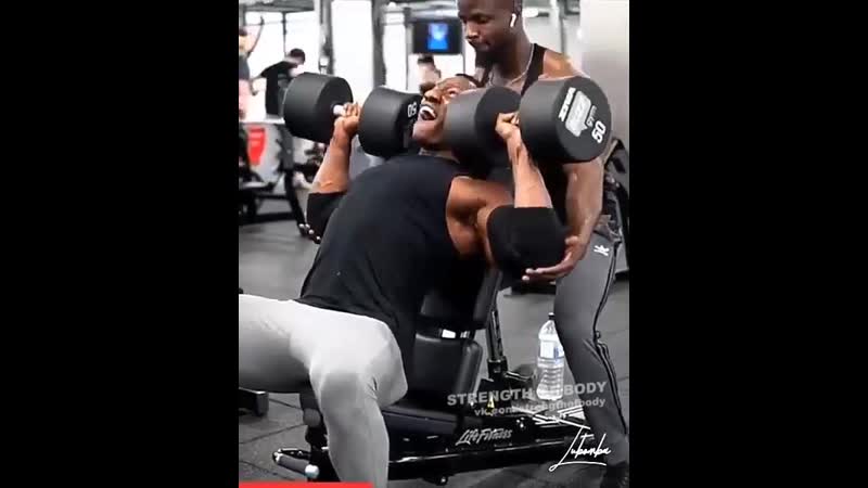 Strength of body тренироа на плечи жим гантелей сидя на лавочке