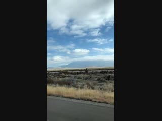 Haux on instagram (10 11 2018)