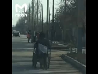 Просто очень доброе видео из казахстанского городка тараз