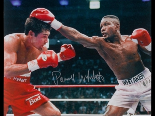 Pernell whitaker beautiful offense