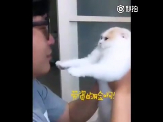 He's Got Way Too Much Love For This Kitten To Hairy Man