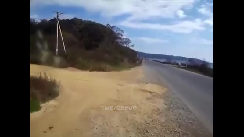 В приморском крае группа из пяти детей и двух взрослых попыталась пересечь дорогу, возвращаясь с пляжа