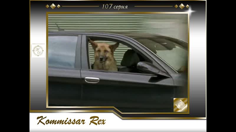 Komissar rex 9x06 das donaukrokodil / комиссар рекс 107 серия дунайский крокодил