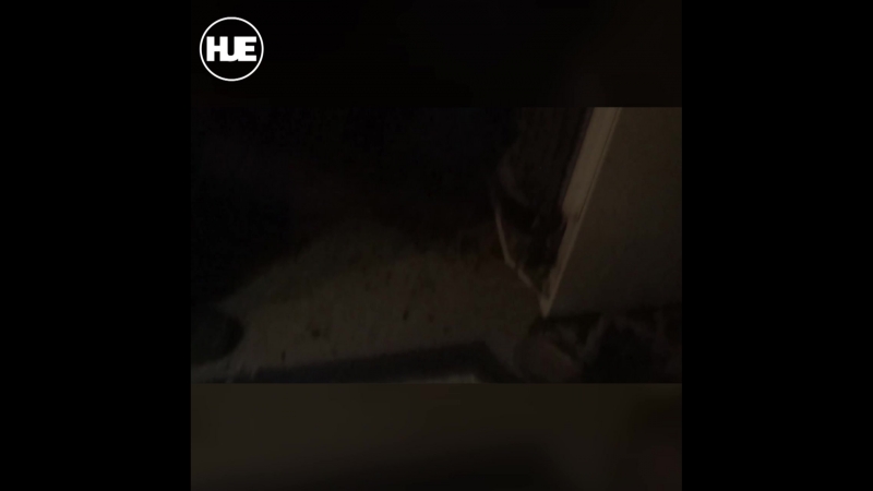 В нижнем новгороде спецназу фсб пришлось убить агрессивного стрелка в ходе штурма