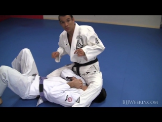 Ryron gracie arm lock from side control