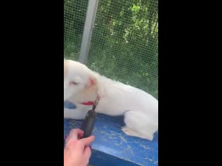 Ангелика на улице