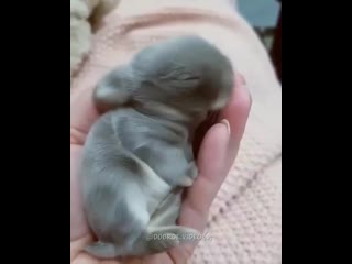 Dobroe video 20191207 2