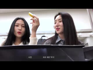 [dreamcatchers vlog 190603] 수아의 솨생활 일본콘서트 1편