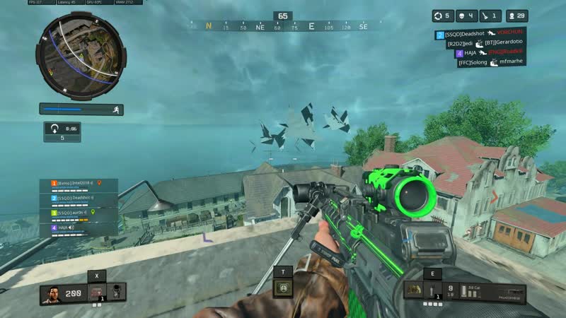 Uhm guys, i think the birds are evolving black ops 4