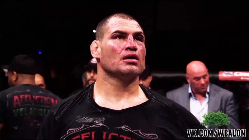 Расширенное превью к ufc 196 werdum vs velasquez 2 (с переводом)