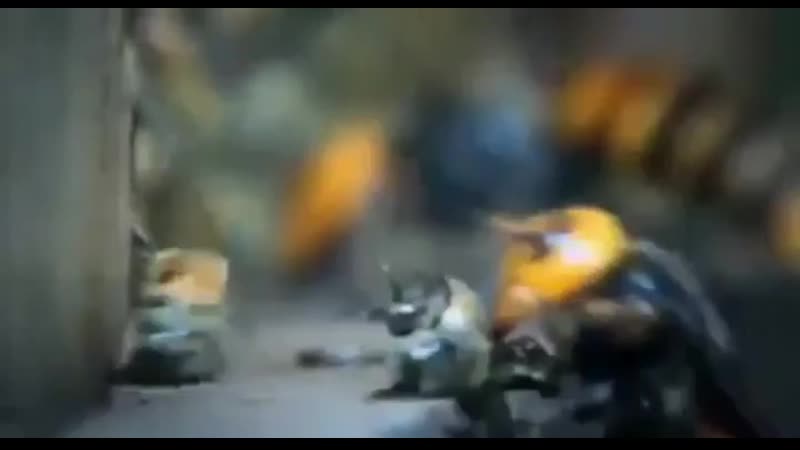 Bees under porn from hornets recover a fallen soldier