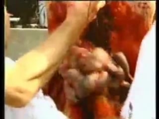 Hermann nitsch orgien mysterian theater