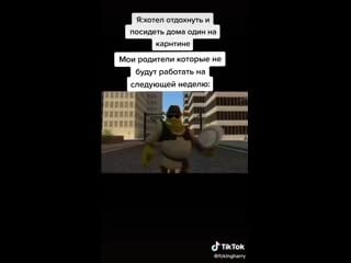 Шрек флексит