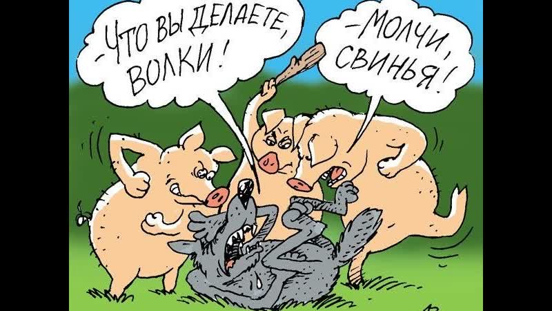 Анекдот пятачок ♛😜► юмор ◄╬₪🤣😉●👍🏻 💯♛