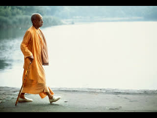 Amazing prabhupada