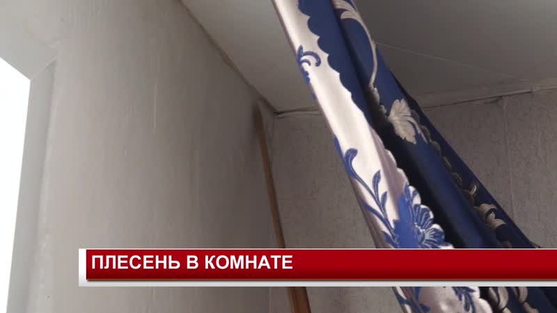 Плесень porn video – Плесень в комнате