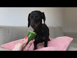 Voyaga etgan porno onlayn uy qurilishi