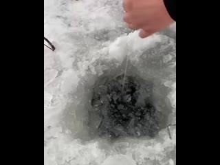 Tvoya rybalka ohota cj 18yonjjf mp4