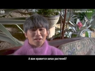 [bamboo ] видео со съёмок клипа дэсона – d day