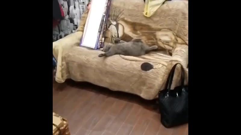 Продление короновируса