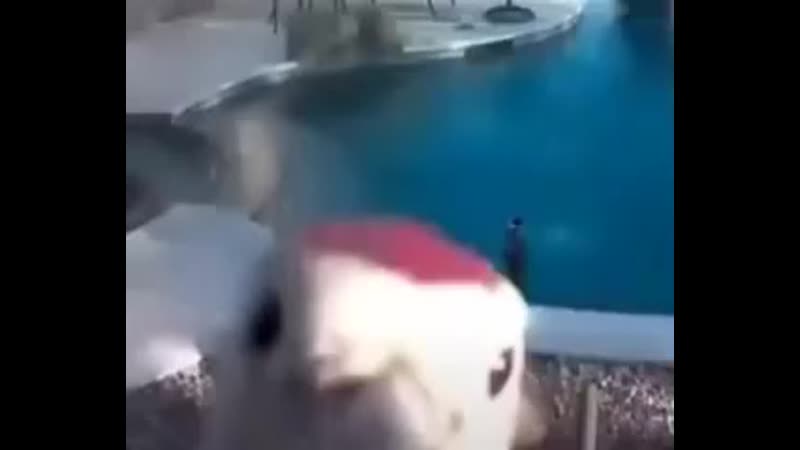 Ебучий дятел сука