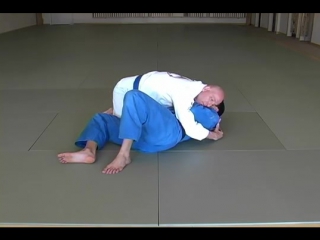 Brazilian jiu jitsu sidemount escapes blue belt requirements roydean tv