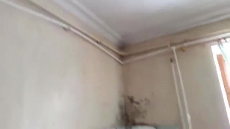 Центральная районная больница псковский район!