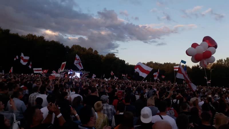 "жыве беларусь!" і беларускі сцяг у палёце