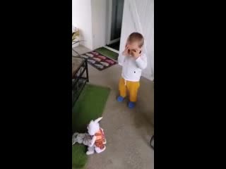 Зайчики кролики