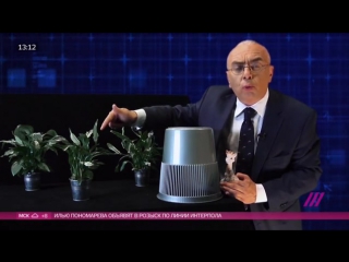 На каком языке разговаривать с баклажаном «разумная жизнь с павлом лобковым»