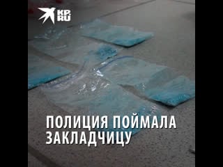 В новосибирске полицейские поймали 23 закладчицу