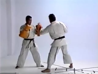 Andy hug, kyokushin karate kumite techniques