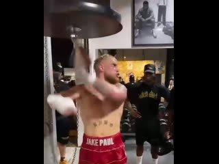 #jakepaul getting ready for his next fight!