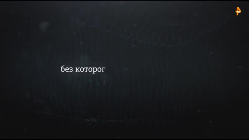 Самые шокирующие гипотезы угостите даму спичкой! (эфир от 07 03 2019)