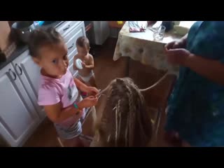 Vid 20190717 102208 mp4