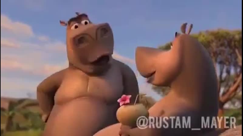 Бегемот из мадагаскара