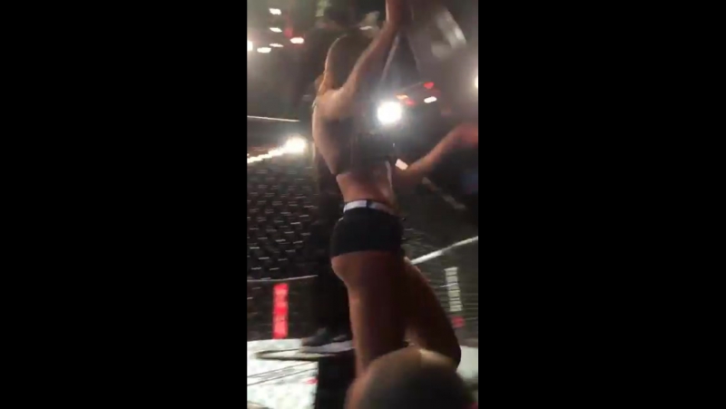 Luciana andrade (ufc octagon girl)