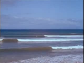 The endless summer