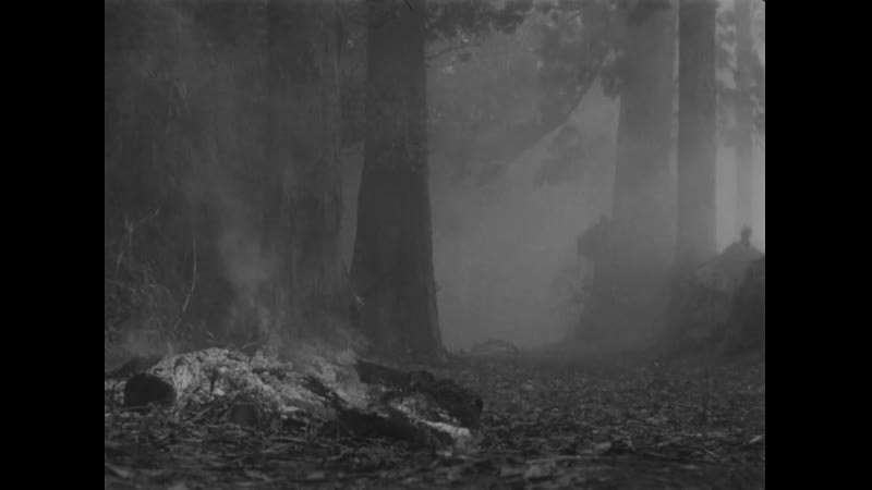 ”семь самураев” //1954, драма, приключения// акира куросава