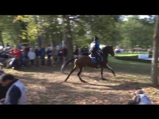 Mondial du lion 2017 yurij shumskij & mt maggie may