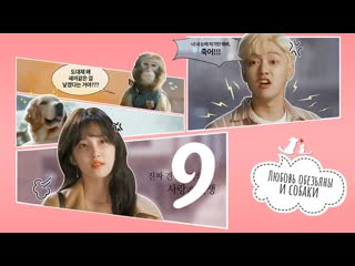 [mania] 09/10 [720] любовь обезьяны и собаки / monkey and dog romanc