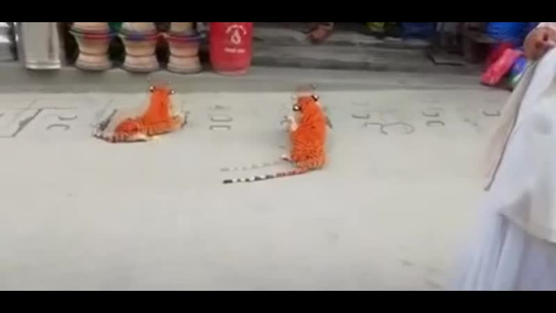 Ну и шуточки у вас, людишки