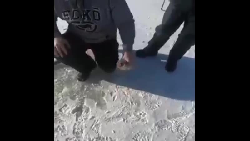 Подержи рыбку