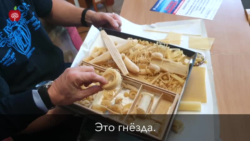 [veggie channel russia] модели из макарон гораздо больше, чем готоа! сергей пахомов